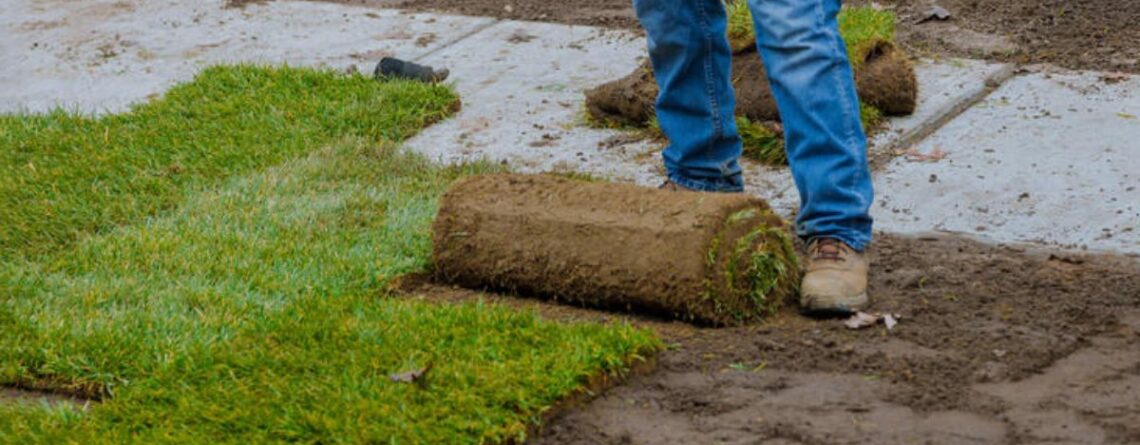 Commercial SOD Installation Near Me