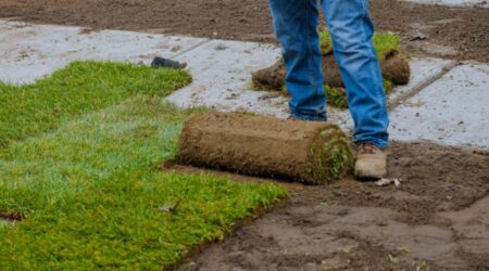 Commercial SOD Installation Near Me
