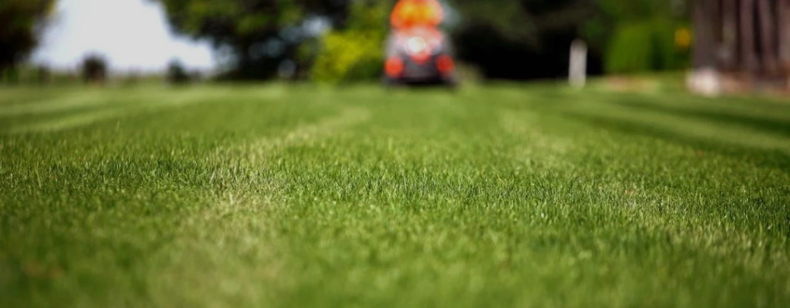 Lawn care services in Charlotte NC