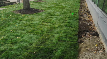 commercial SOD installation in Charlotte NC