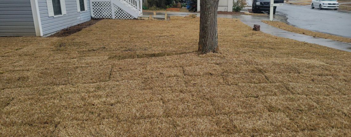 residential SOD installation in Charlotte NC
